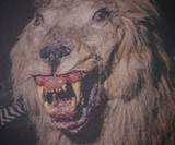 Crap Taxidermy - Stuffing Gone Wrong
