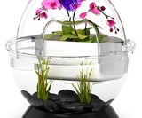 BioBubble Wonder Bubble & Tunnel Fish Tank