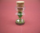 The World In A Bottle-3557