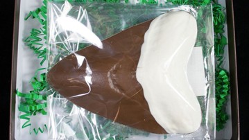 Chocolate Megalodon Shark Teeth Chocolate Megalodon Shark Teeth