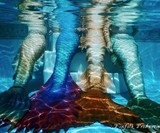 Finfolk Custom Mermaid Tails