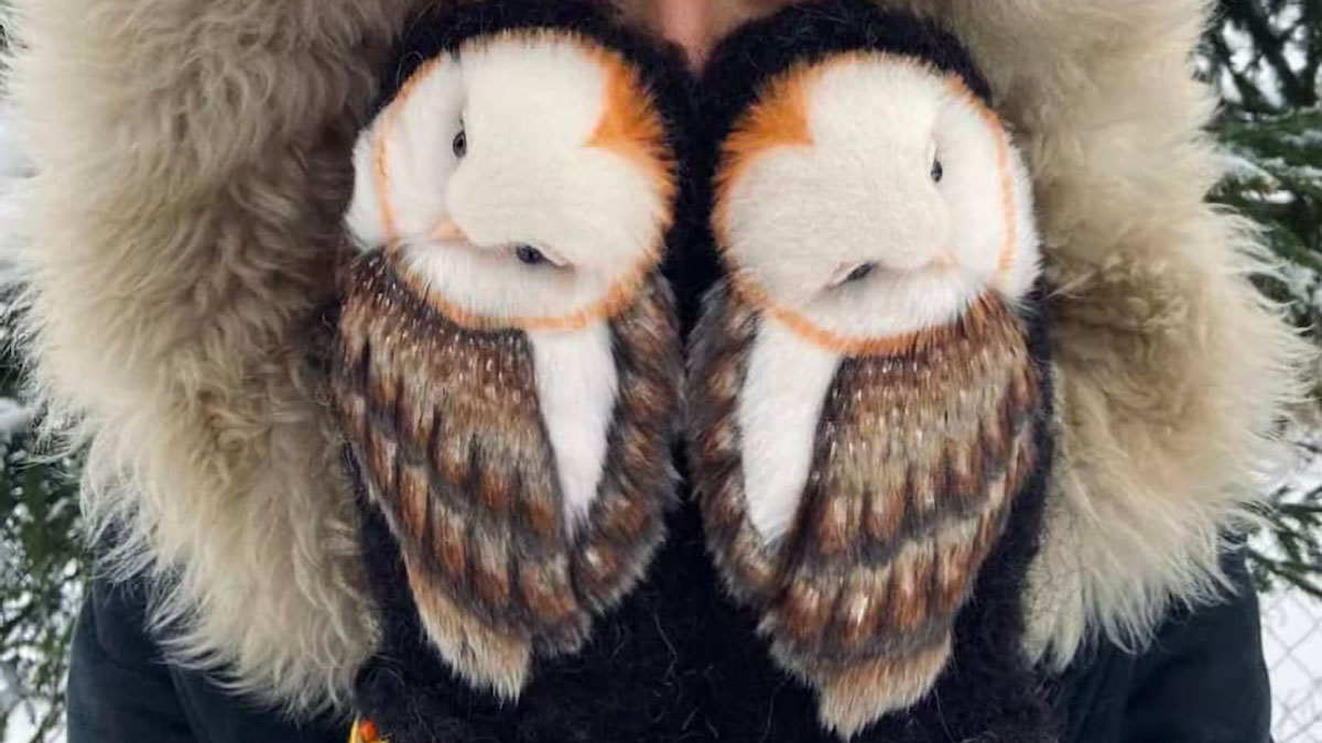 Owl Mittens Owl Mittens