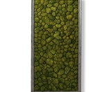 Living Moss Wall Art