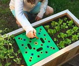 Seeding Square - Square Foot Gardening Template