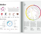 Wine Folly: Magnum Edition: The Master Guide