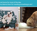 CleverPet Dog Gaming Console