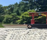 Pocket Samurai Titanium Keychain Knife