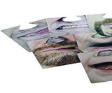 Face Mask Drink Coasters