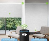 Smart Electric Blackout Window Shade