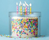 Top It Cake Shield