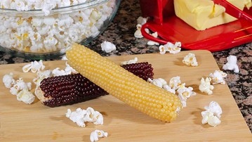 Amish Country Microwave Popcorn on the Cob Amish Country Microwave Popcorn on the Cob
