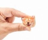 Shiba Inu Dog Marshmallows