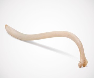Texas Toothpick Texas Toothpick