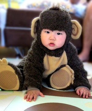Infant Monkey Costume Infant Monkey Costume