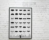 Evolution of the Bat Symbol Poster