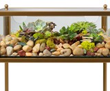 Terrarium Display End Table
