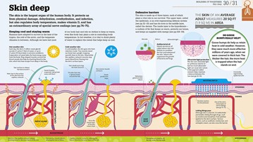 How the Body Works: The Facts Simply Explained How the Body Works: The Facts Simply Explained