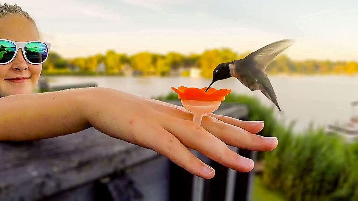Hummingbird Ring Feeder Hummingbird Ring Feeder