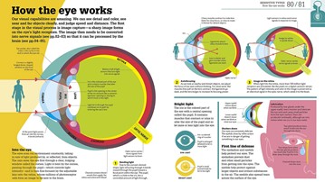 How the Body Works: The Facts Simply Explained
