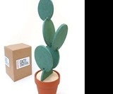 Cactus Coasters