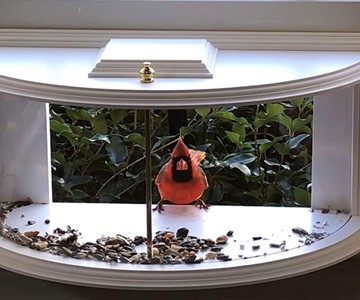 Clearview Window Bird Feeder Clearview Window Bird Feeder