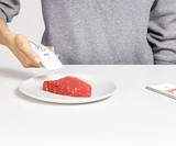 FOODsniffer Food Freshness Tester