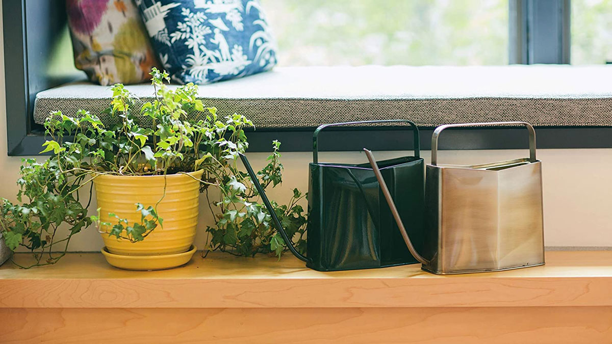 Modern Sprout Watering Can Modern Sprout Watering Can