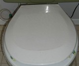 Prank Toilet Goblin