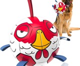 Dog Soccer Ball with Grab Tabs