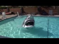Animatronic Shark Costume