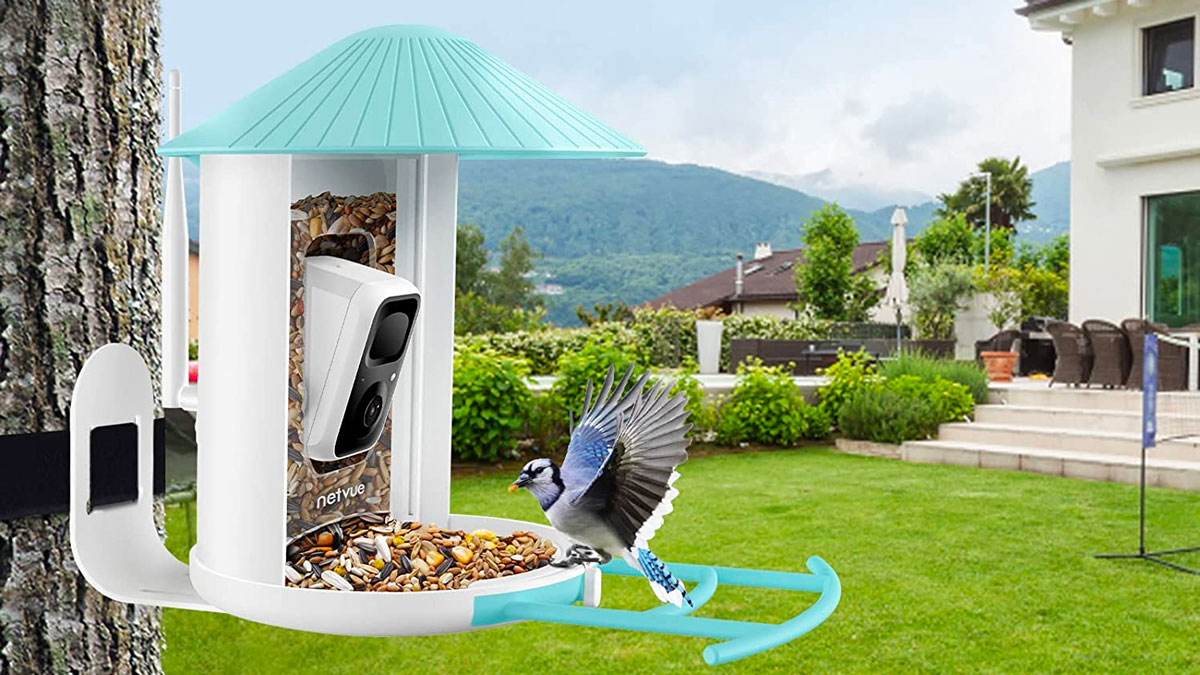 NETVUE Birdfy Lite Smart Bird Feeder with Camera NETVUE Birdfy Lite Smart Bird Feeder with Camera
