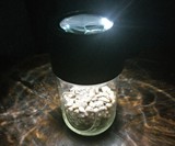 MasonBrite LED Magnifying Mason Jar Lid