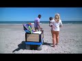e-Beach Wagon - Electric Multi-Terrain Wagon