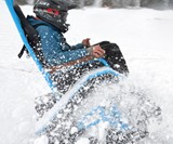 Ziesel Offroad Driving Chair