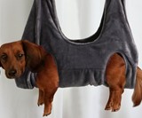 Dog Harness Hammock for Nail Trimming