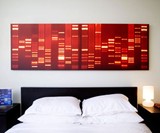 His and Her DNA Portraits