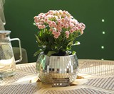 Hanging Disco Ball Planter