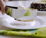 Magisso Perfect Slice Cake Server