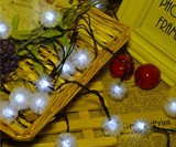 Solar Powered Christmas Lights