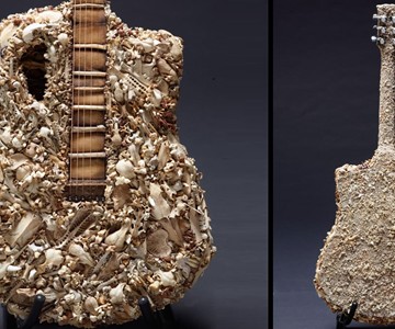 The Bone Guitar The Bone Guitar