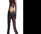 Arkham City Harley Quinn Costume