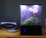 EcoQube Air Desktop Greenhouse