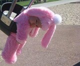 Top 10 Halloween Costumes
