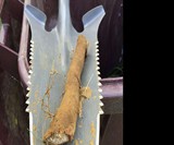 Radius Garden Root Slayer Shovel