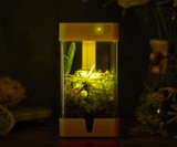 OrchidBox Smart Mini Terrarium