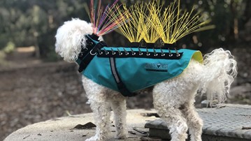 CoyoteVest Pet Body Armor CoyoteVest Pet Body Armor