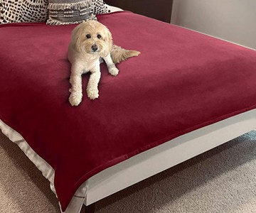 Blue Zoca Waterproof & Pet-Proof Blanket Blue Zoca Waterproof & Pet-Proof Blanket