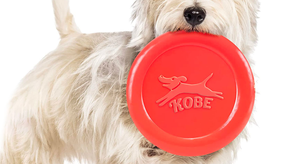Bacon-Scented Rubber Flying Disc for Dogs Bacon-Scented Rubber Flying Disc for Dogs