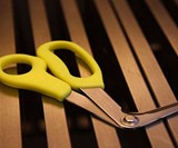 Right Shears Scissors