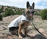 Dog Cooling Vest